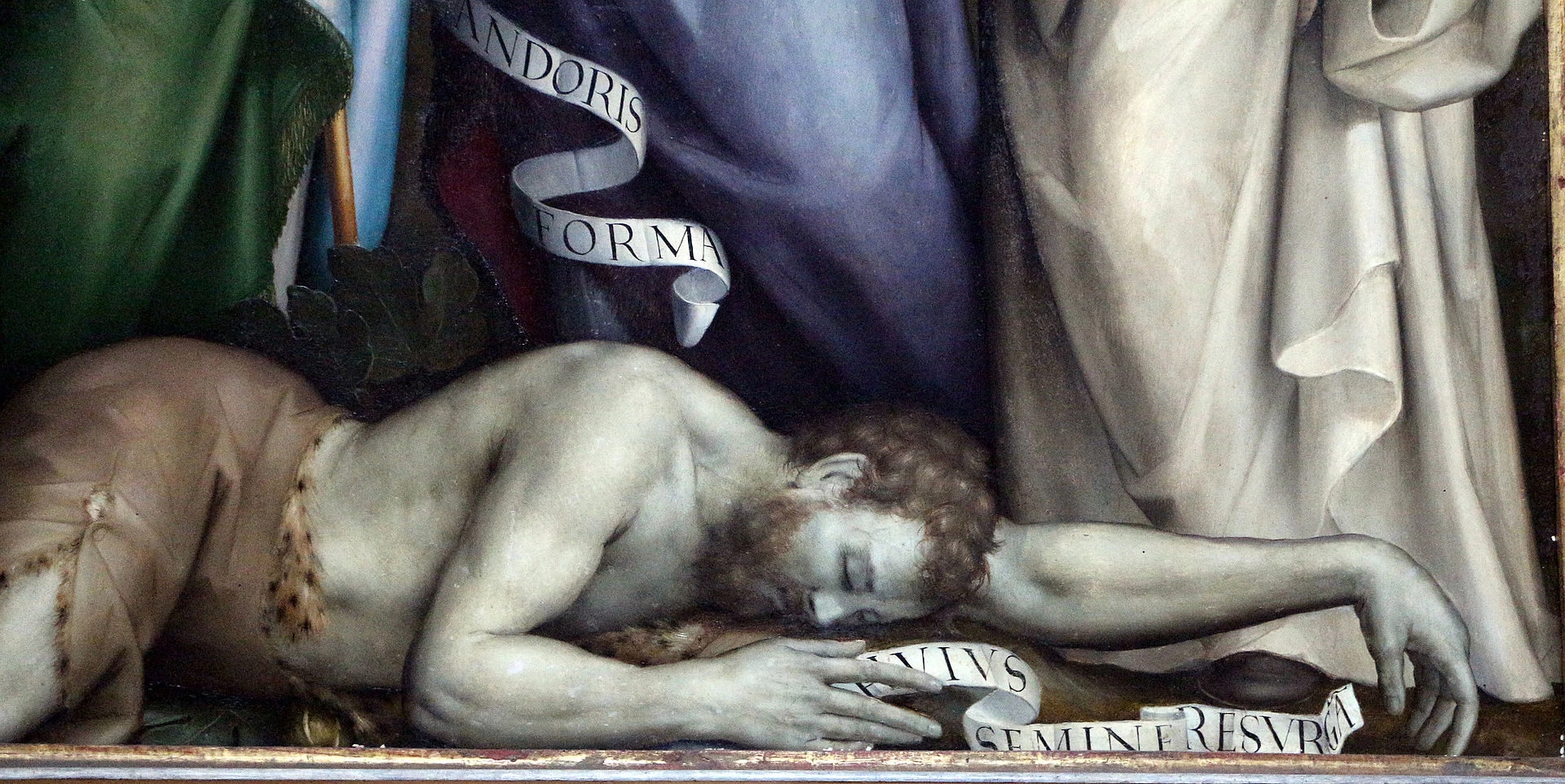 Disputa sull'Immacolata Concezione - dettaglio